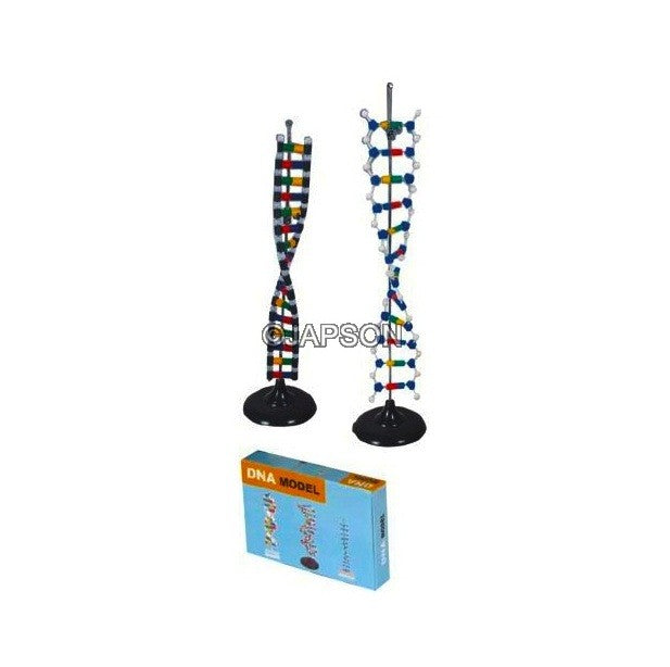 DNA Structure Model, Simulation Kit DNA Structure Model, Simulation Kit
